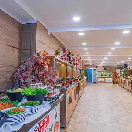 Mesut Hotel